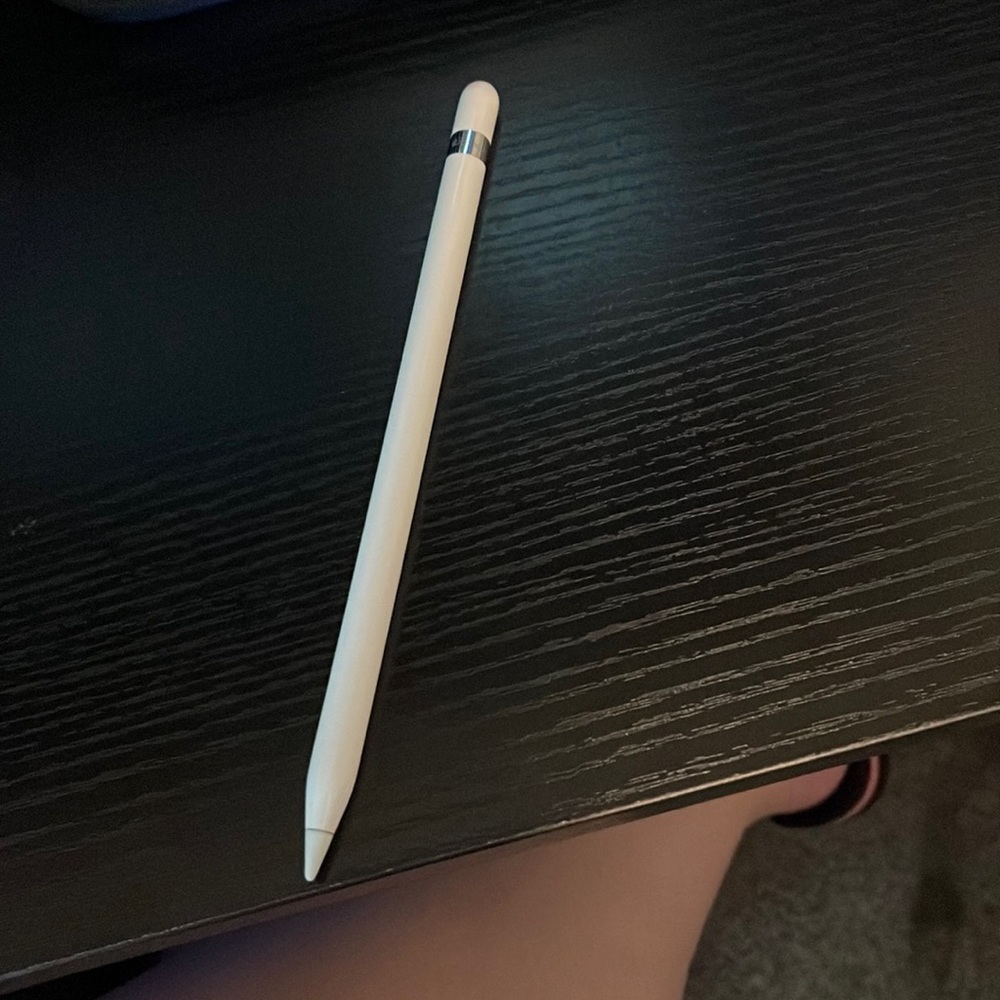 Apple Pencil 1st Gen with charger piece, cover, case, etc. In great condition.